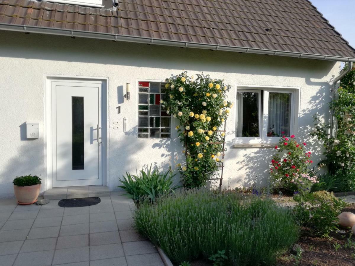Ferien-Appartement Goldhausen Esterno foto
